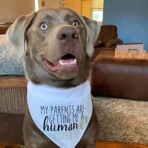 Meet your Posher, Brenda